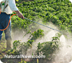 Pesticide-Spray-Crops-Farm